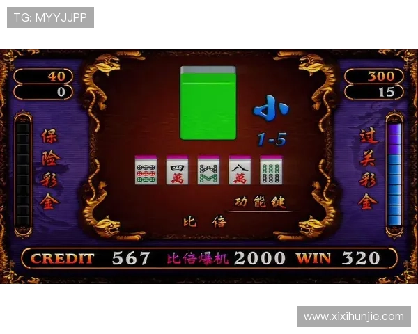 体验AG龙虎官网丰富的游戏种类和优质的客服支持