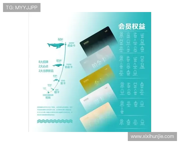 凯发天生赢家官网：优惠福利与会员专属权益介绍