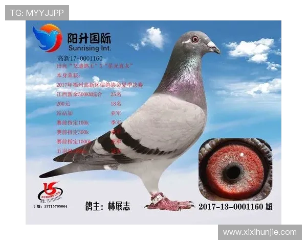 AG国际厅会员登录页面更新通知，确保您的账户安全与顺畅体验