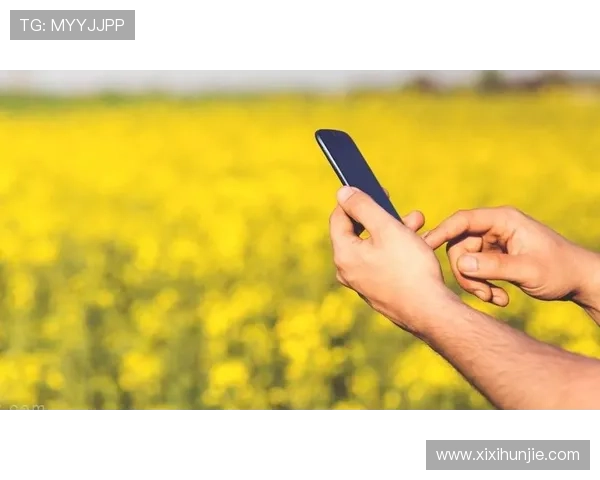 AG国际线上登陆平台优化用户体验,打造最安全稳定的线上博彩环境 AG国际线上登陆平台优化用户体验,打造最安全稳定的线上博彩环境