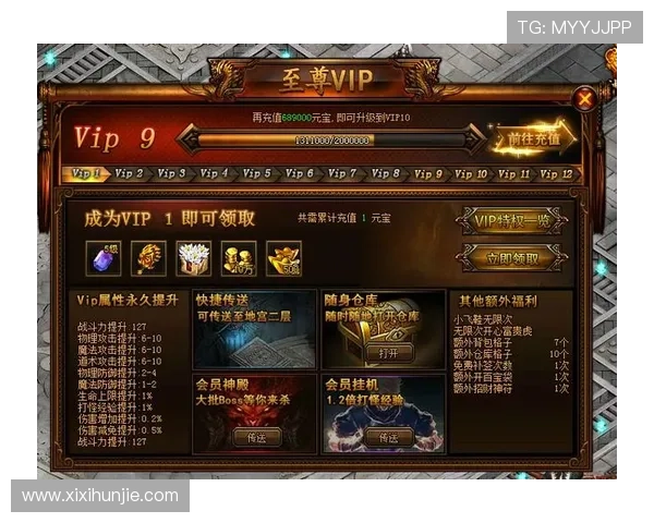 AGVIP官网会员权益全面解析让你了解专属特权和提升游戏体验的方法