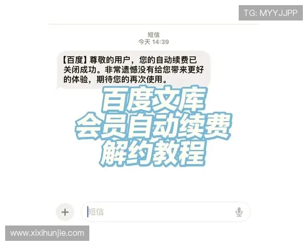 AG会员如何快速激活与续费流程详解确保你的会员权益不中断