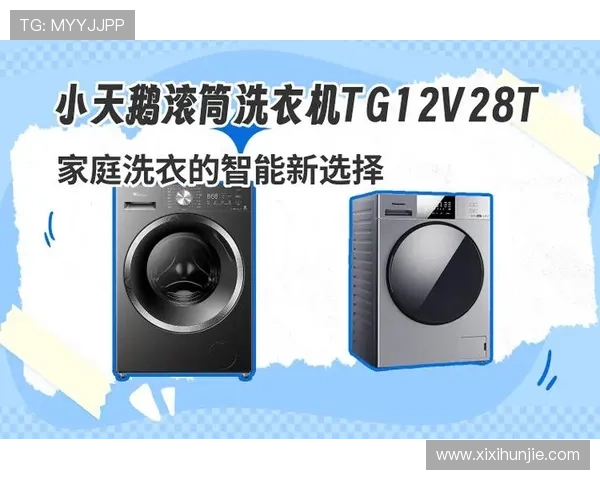 全面讲解百家乐规则与技巧结合实战经验助你成为游戏中的赢家高手